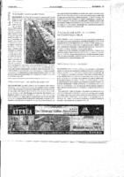 Fitxer PDF de 458014 bytes - Revista del Valls, 04-02-2011, pgina 13